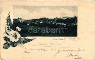 1898 Városszalónak, Stadtschlaining; látkép / general view. floral (fl)
