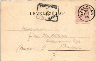 1898 Városszalónak, Stadtschlaining; látkép / general view. floral (fl)