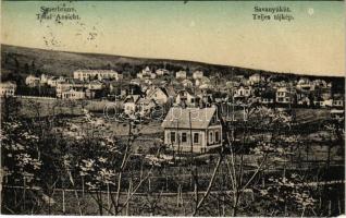 1912 Savanyúkút, Bad Sauerbrunn; Totalansicht / látké / general view (EK)