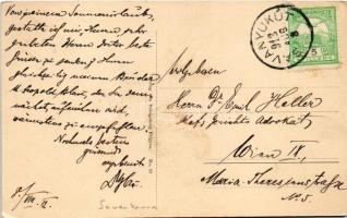 1912 Savanyúkút, Bad Sauerbrunn; Totalansicht / látké / general view (EK)