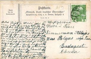 Die Macht an der Donau, Ostmark Bund deutscher Österreicher / Austrian propaganda art postcard s: K....