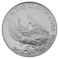 Lapis András (1942-) 2006. "Áldás és átok a víz / A Környezetvédelmi és Vízügyi Minisztertől" peremén jelzett Ag emlékérem kapszulában, dísztokban, tanúsítvánnyal (31,1g/0.925/42,5mm) T:PP