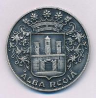 DN "Alba Regia" ezüstpatinázott bronz kitüntető érem (45mm) T:AU