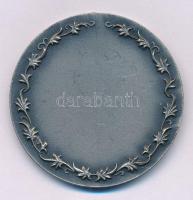 DN "Alba Regia" ezüstpatinázott bronz kitüntető érem (45mm) T:AU