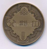 Fritz Mihály (1947-) 1982. "Zirc" kétoldalas bronz emlékérem (42,5mm) T:AU