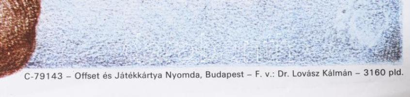 1979 Kéz kezet mos, filmplakát, ofszet, papír, jelzett a plakáton, Offset és Játékkártya Nyomda, fel...