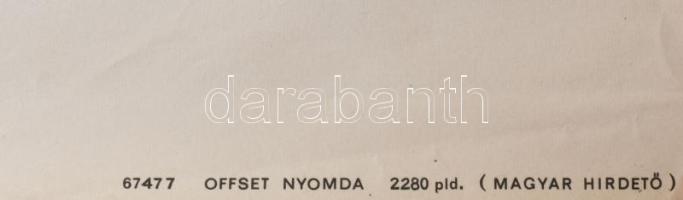 Gunda Antal (1929-): A pártfogolt. Filmplakát, ofszet, papír, Offset-Nyomda, feltekerve, kisebb laps...