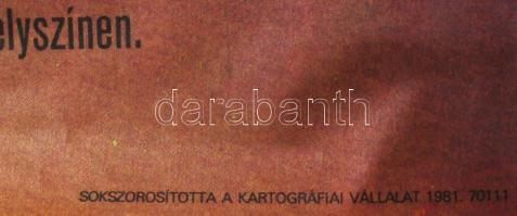 Homolya Gábor (1956-): Budapest nagydíj, Nemzetközi Atlétikai Verseny, Népstadion, 1980. Ofszet, pap...