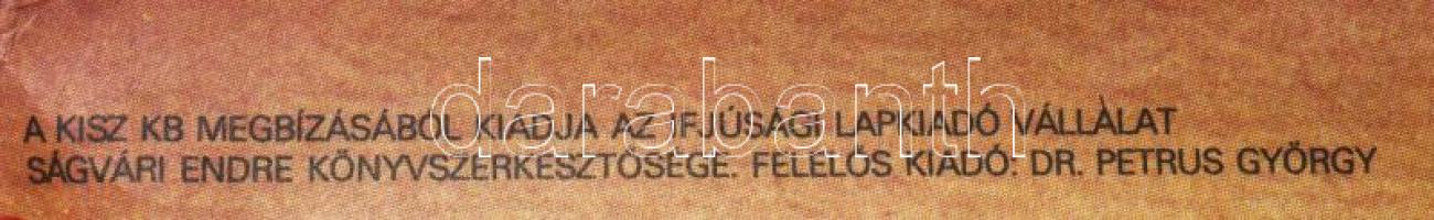 Homolya Gábor (1956-): Budapest nagydíj, Nemzetközi Atlétikai Verseny, Népstadion, 1980. Ofszet, pap...