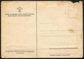 1940 "Székelyudvarhely visszatért" bélyegzés nemzetiszínű képeslapon, kiadja: 373. sz. MOV...