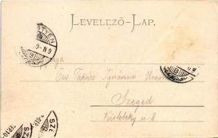 1903 Pöstyén, Piestany; Infanterista, fürdőkocsi / Badewagen (Infanterist) / spa carriage. Stengel &...