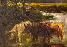 Mányai József (1875-?): Táj tehenekkel. Olaj, vászon. Jelzett. Javított, kissé sérült, 40×60 cm