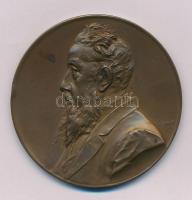 Ausztria 1900. "Nicolaus Dumba" "IHREM VEREWIGTEN OBERCURATOR NICOLAUS DUMBA DIE ERSTE ÖSTERREICHISCHE SPAR-CASSE 1900" kétoldalas, bronz, vert emlékérem. Szign.: Anton Scharff (55mm) T:XF, patina Austria 1900. "Nicolaus Dumba" "IHREM VEREWIGTEN OBERCURATOR NICOLAUS DUMBA DIE ERSTE ÖSTERREICHISCHE SPAR-CASSE 1900" double-sided, bronze, struck commemorative medal. Sign.: Anton Scharff (55mm) C:XF, patina
