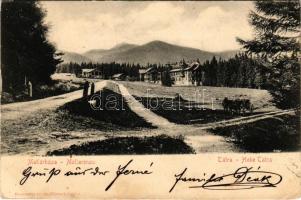 1905 Matlárháza, Matliary, Tatranské Matliare (Magas-Tátra, Vysoké Tatry); szálloda, nyaralók. Kuszmann Gyula kiadása / Matlarenau / hotel, villas (kis szakadás / small tear)