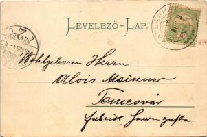 1905 Matlárháza, Matliary, Tatranské Matliare (Magas-Tátra, Vysoké Tatry); szálloda, nyaralók. Kuszm...