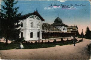 Tátralomnic, Tatranská Lomnica (Magas-Tátra, Vysoké Tatry); fürdőház. Vasúti levelezőlapárusítás / Badehaus / spa, bathhouse (kis szakadás / small tear)
