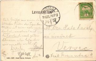 1908 Újtátrafüred, Neu-Schmecks, Novy Smokovec (Magas-Tátra, Vysoké Tatry); Szalóki csúcs, kávéház, ...