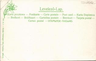 Várna, Trencsén-Várna, Varín; látkép a Varinka patakkal a Kárpátok felé, templom. Feitzinger Ede 632...