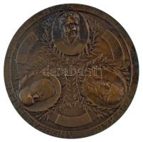 Ausztria 1913. "A Napóleoni csaták emlékére - Berg Isel - Aspern - Leipzig" "ZUR JAHRHUNDERTFEIER DER BEFREIUNGSKäMPFE 1813" bronz, vert, kétoldalas emlékérem (65mm) Szign.: J. Tautenhayn T:XF patina / Austria 1913. "In memory of the Napoleonic battles - Berg Isel - Aspern - Leipzig" "ZUR JAHRHUNDERTFEIER DER BEFREIUNGSKäMPFE 1813" bronze, struck, double-sided medallion (65mm) Sign: J. Tautenhayn C:XF patina