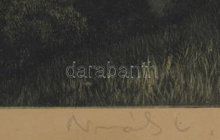 Novák Lajos (1927-1989): Visegrád. Rézkarc, papír, jelzett, lapszéli ázásnyomokkal, üvegezett fakere...