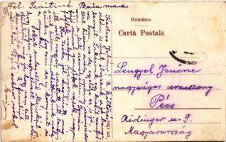 Nagybánya, Baia Mare; Vedere generala / látkép / general view (fl)