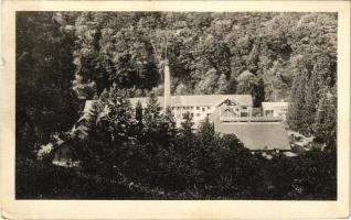 Tomest, Tamásd, Tomesti; látkép, gyár / view, factory (kis szakadás / small tear)