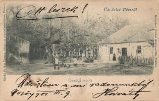 Pécs Üszögi erdő (Rb)