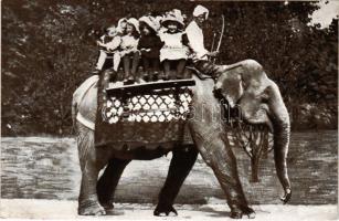 Budapest XIV. Székesfővárosi Állatkert, körutazás Kuba hátán, gyerekek elefánton. A székesfővárosi állatkert kiadása 13. sz.