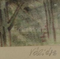 Váli Éva (XX. sz. második fele): Táj lovassal. Pasztell, vászon, jelzett. Üvegezett fakeretben. 40x2...