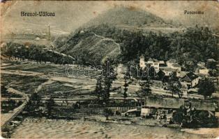 1922 Brezoi (Valcea), Panorama / general view, railway (fl)