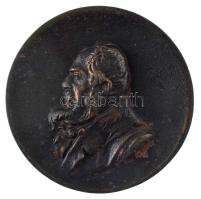 Szilas József (?) 1902. "Steindl tanár emlékére" kétoldalas vas emlékérem (75mm) T:VF,F 1902. Memory of Professor Steindl iron commemorative medal (75mm) C:VF,F