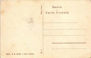 Galati, Galatz; Vedere din Port / port, steamships (EB)