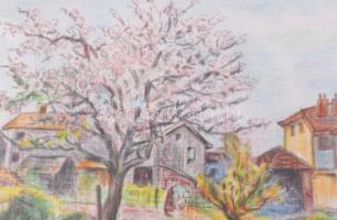 Váli Éva (XX. sz. második fele): Tavasz. Pasztell, vászon, jelzett. Üvegezett fakeretben. 23x29,5 cm