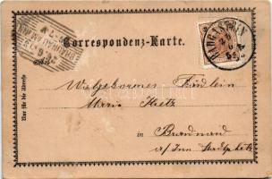 1898 Bad Gastein, C. Jurischek Art Nouveau, floral (EB)