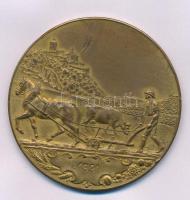 Ausztria 1931. "Dem fortschritte die burgenländische landwirtschaftskammer / 1931." kétoldalas, vert, aranyozott bronz emlékérem (56mm) T:F Austria 1931. "Dem fortschritte die burgenländische landwirtschaftskammer / 1931." double-sided, struck, gilt bronze medal (56mm) C:F