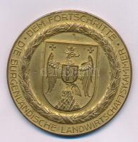 Ausztria 1931. "Dem fortschritte die burgenländische landwirtschaftskammer / 1931." kétold...