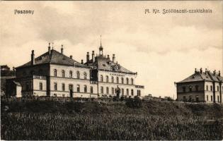 Pozsony, Pressburg, Bratislava; M. kir. szőlészeti szakiskola, szőlők / viticulture school, winemaker school, vineyards