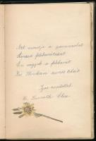 cca 1903-1909 Emlékkönyv miskolci, erdélyi (Nagyenyed, Kolozsvár, Ada Kaleh), felvidéki (Eperjes) bejegyzésekkel, rajzokkal, köztük egy (valószínűleg) Tompa László (1883-1964) költőtől származóval, illetve további érdekes nevekkel (Dessewffy István, Kossuth Elza). Egészvászon-kötésben, kissé sérült, laza fűzéssel.