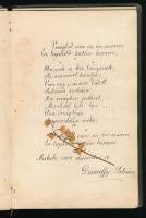 cca 1903-1909 Emlékkönyv miskolci, erdélyi (Nagyenyed, Kolozsvár, Ada Kaleh), felvidéki (Eperjes) be...