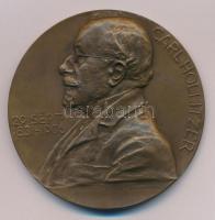 Ausztria 1906. "Carl Hollitzer 29.Sept. 1831-1906. / Deutsch-Altenburg A/D Donau" kétoldalas, vert, bronz emlékérem Szign.: Jos Tautenhayn (65mm) T:AU Austria 1906. "Carl Hollitzer 29.Sept. 1831-1906. / Deutsch-Altenburg A/D Donau" double-sided, struck, bronze medal Sign.: Jos Tautenhayn (65mm) C:AU