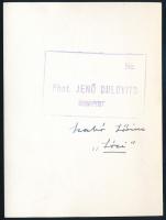 Dulovits Jenő (1903-1972): Szabó Lőrinc "Lóci", pecséttel jelzett vintage fotóművészeti al...