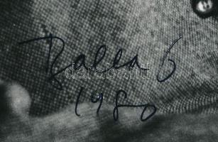 Balla Demeter (1931-2017): Major Máté (1904-1986) Kossuth-díjas építész, építészettörténész fotója, ...