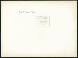 Balla Demeter (1931-2017): Major Máté (1904-1986) Kossuth-díjas építész, építészettörténész fotója, ...