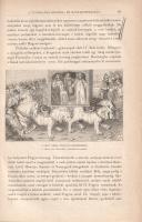 Ribáry Ferenc - Molnár Antal - Marczali Henrik: Világtörténelem a mívelt magyar közönség számára. Fö...