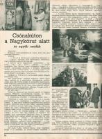 [Folyóirat] Magyar Cserkész. A Magyar Cserkészszövetség hivatalos lapja. Szerkeszti: Sztrilich Pál. ...