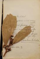 cca 1900-1940 6 db emlékkönyv bejegyzésekkel, rajzokkal, vegyes állapotban