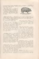 Mezőgazdasági lexikon. Angyal Dezső, Bund Károly, Cselkő István és mások közreműködésével szerkeszte...