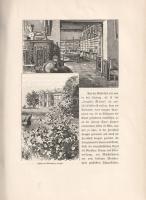 Die österreichisch-ungarische Monarchie in Wort und Bild. Ungarn: Band IV. [Az Osztrák-Magyar Monarc...