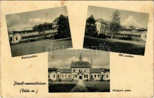 Gyula, József szanatórium, Központi épület, Női és Férfi pavillon (fl)