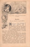 A klassikus ókor legszebb hősmondái Schwab, Stoll és mások nyomán a művelt közönség számára. Átdolgo...